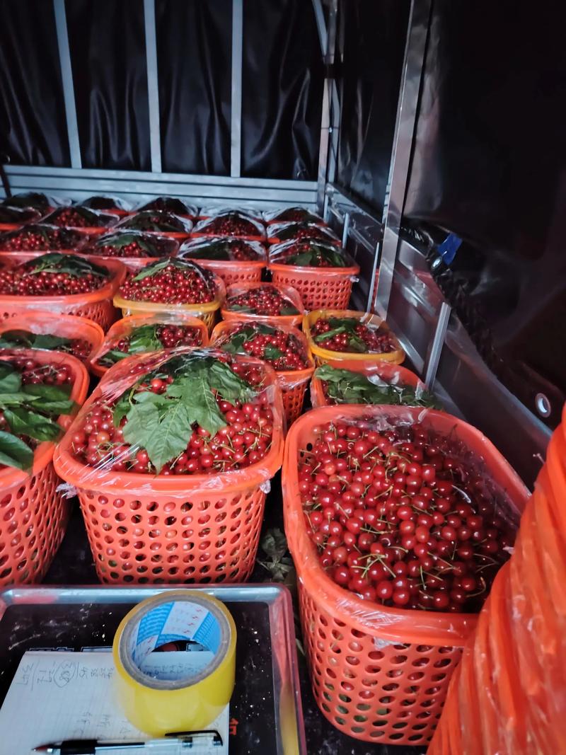 南京农副产品批发：汇聚天下食材的窗口